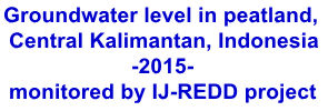 Groundwater level in peatland,  Central Kalimantan, Indonesia -2015- monitored by IJ-REDD project